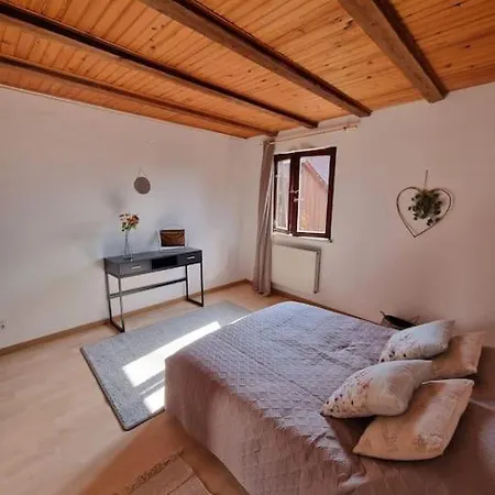 Maison Alsacienne Au Coeur Du Vignoble